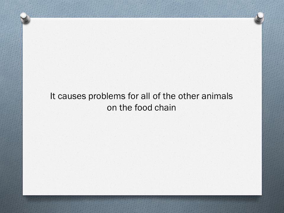 It causes problems for all of the other animals on the food chain