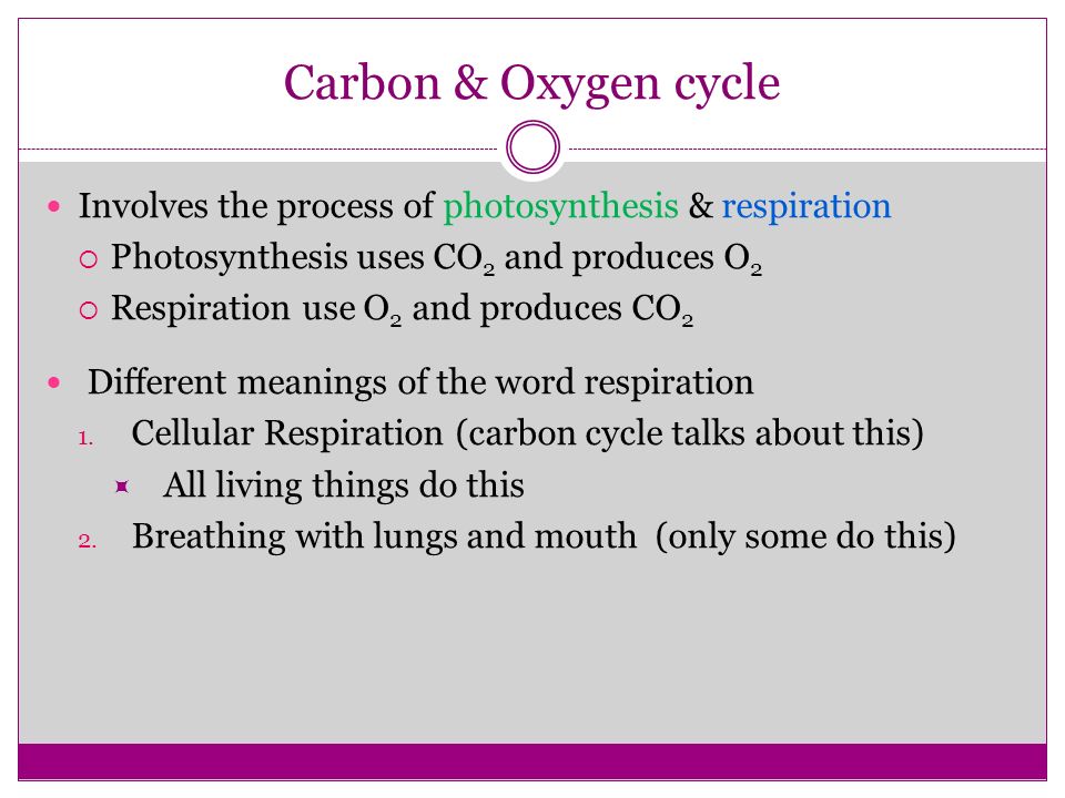 Carbon & Oxygen cycle Involves the process of photosynthesis & respiration  Photosynthesis uses CO 2 and produces O 2  Respiration use O 2 and produces CO 2 Different meanings of the word respiration 1.