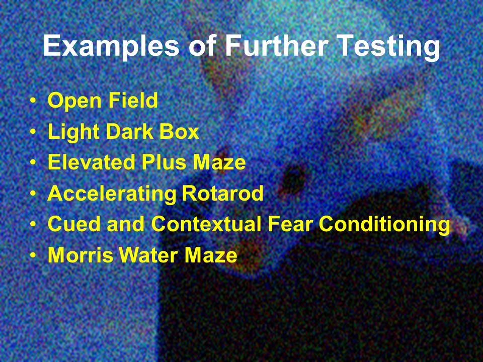 Examples of Further Testing Open Field Light Dark Box Elevated Plus Maze Accelerating Rotarod Cued and Contextual Fear Conditioning Morris Water Maze