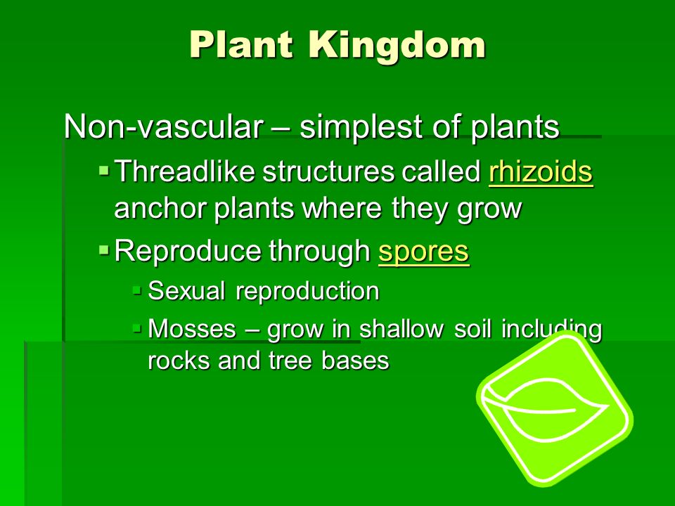 Plant Kingdom  Major Characteristics  Eukaryotic  multi 