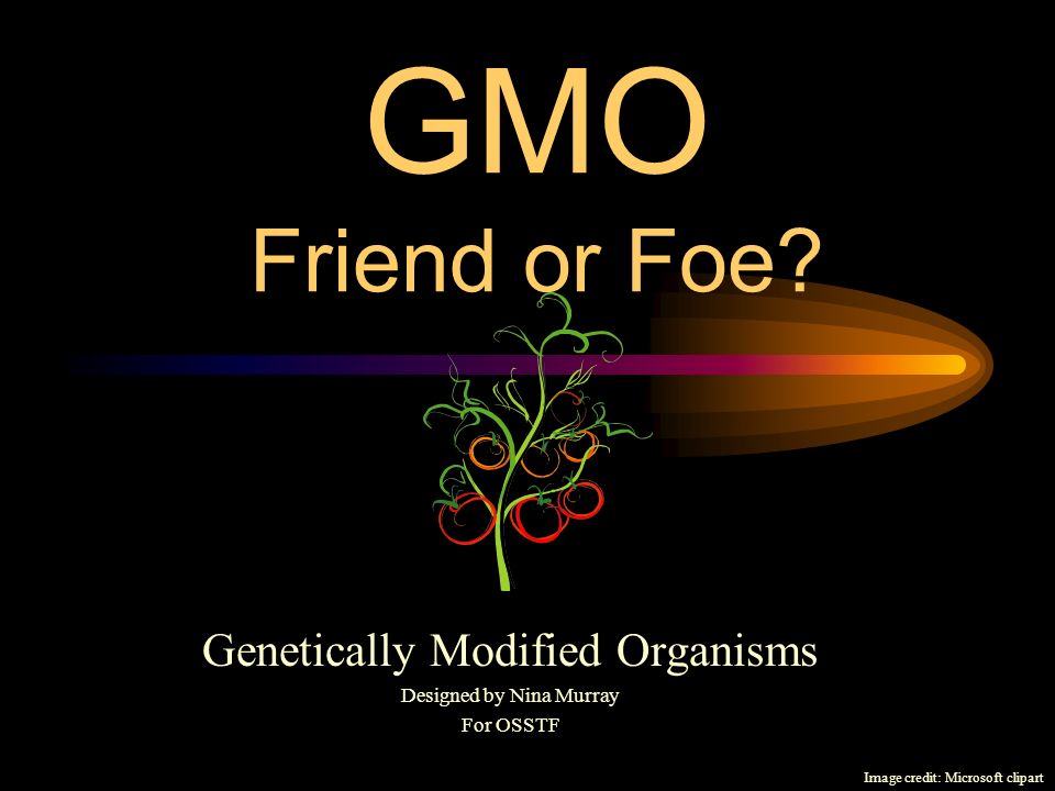 GMO Friend or Foe.