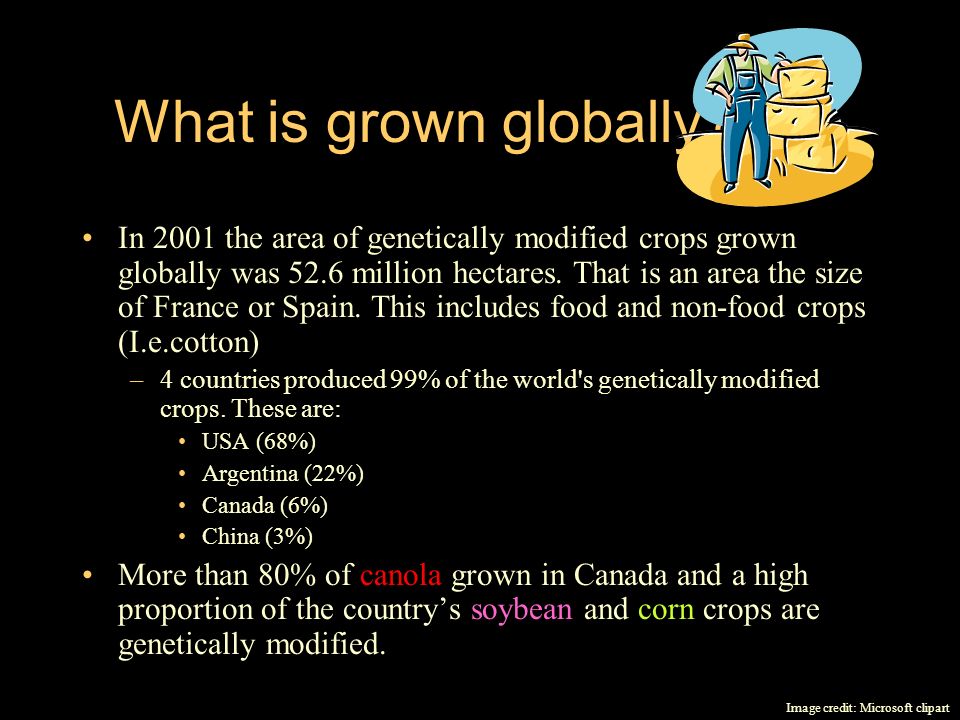 What is grown globally.