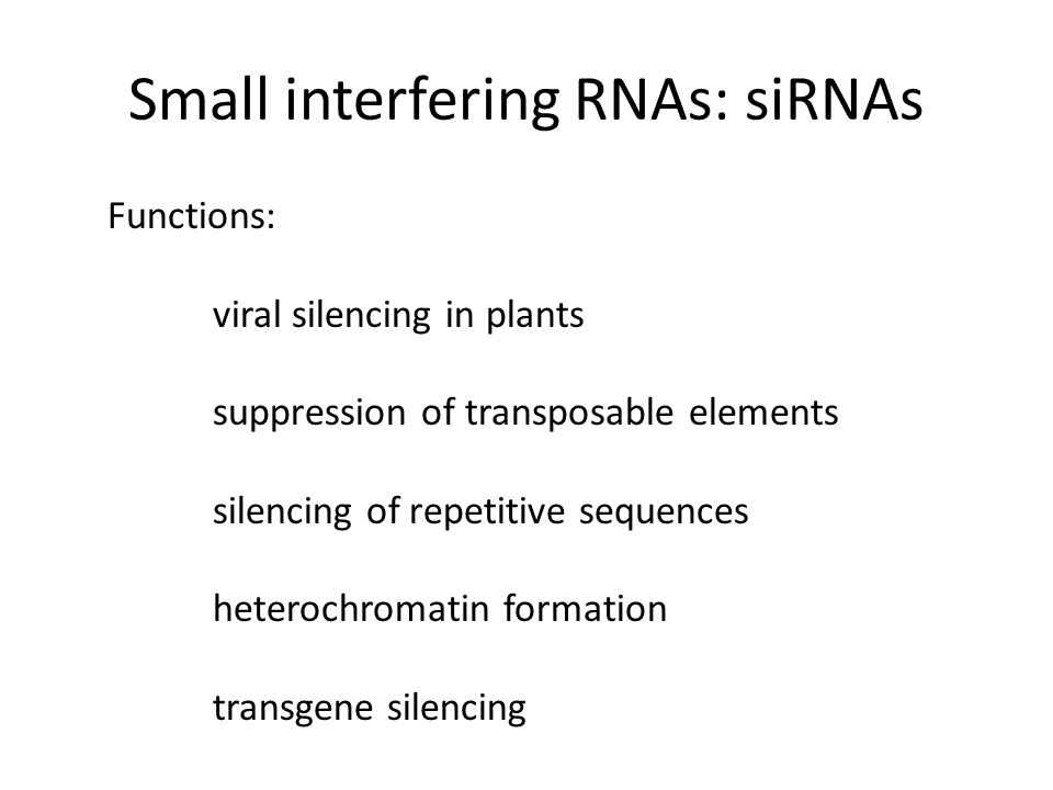 Functions: viral silencing in plants suppression of transposable elements silencing of repetitive sequences heterochromatin formation transgene silencing Small interfering RNAs: siRNAs