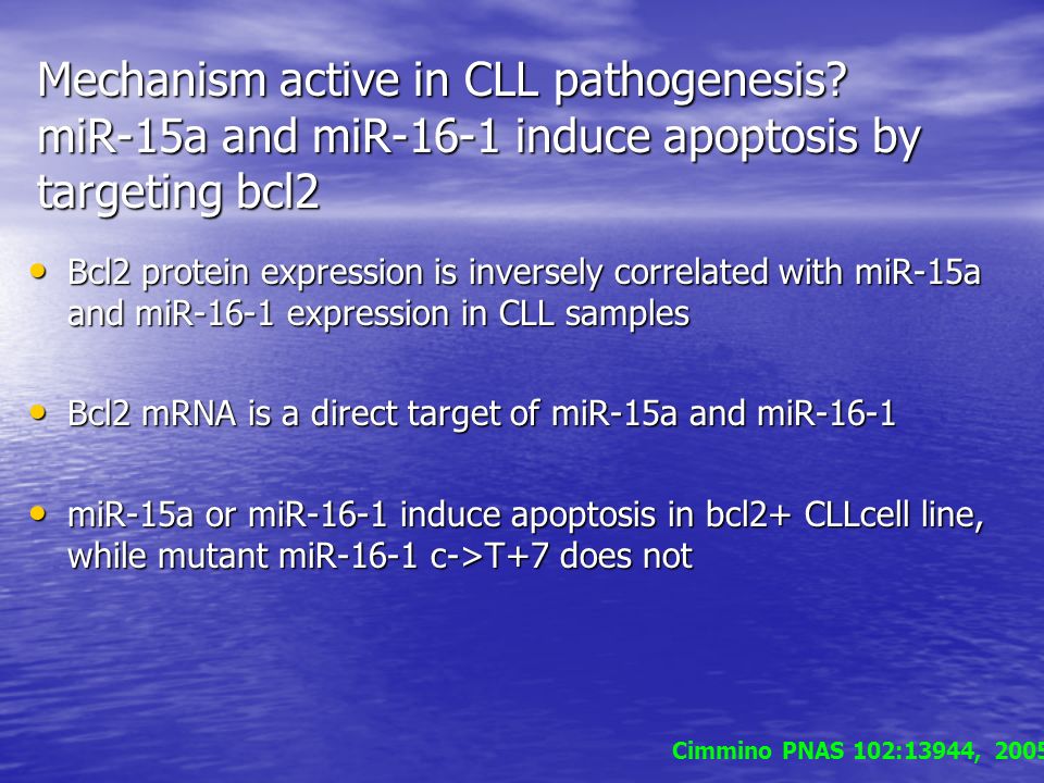 Mechanism active in CLL pathogenesis.