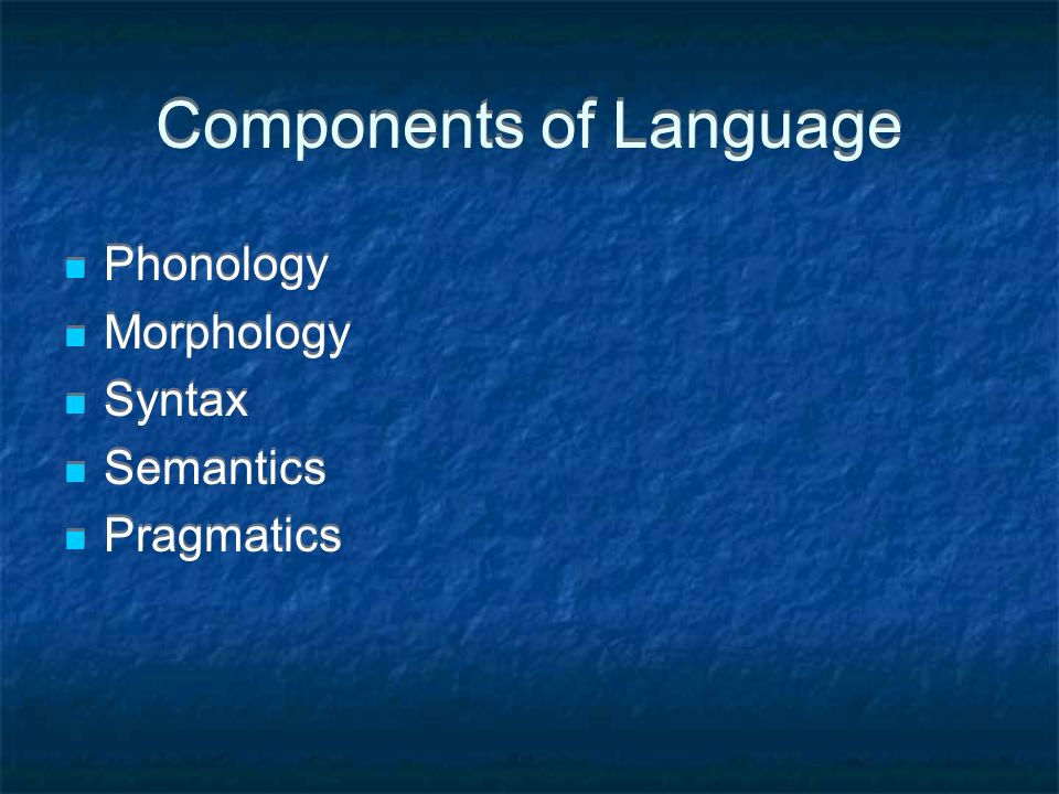 Components of Language Phonology Morphology Syntax Semantics Pragmatics Phonology Morphology Syntax Semantics Pragmatics