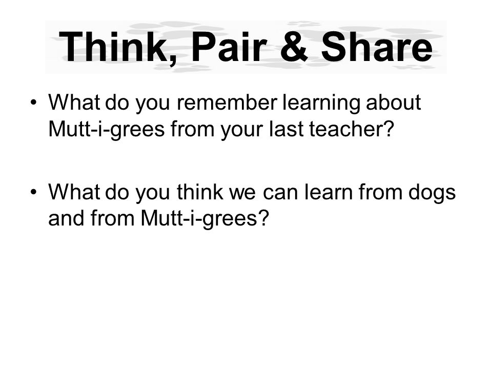 1.1 Learning from Mutt-i-grees Objective: Today you will rationalize and discuss your unique traits, as well as traits of Mutt-i-gree dogs.