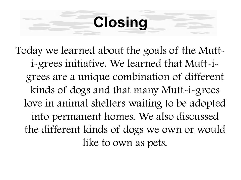 Activity: Learning by Doing Each partner team will be assigned to work together to create their own Mutt-i-gree.
