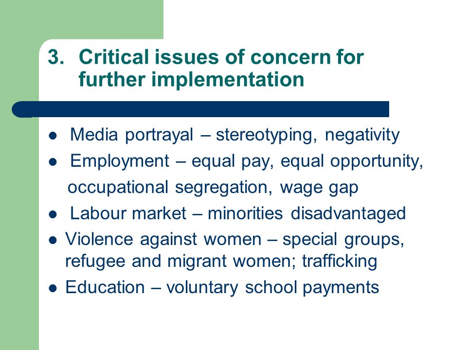 3.Critical issues of concern for further implementation Media portrayal – stereotyping, negativity Employment – equal pay, equal opportunity, occupational segregation, wage gap Labour market – minorities disadvantaged Violence against women – special groups, refugee and migrant women; trafficking Education – voluntary school payments
