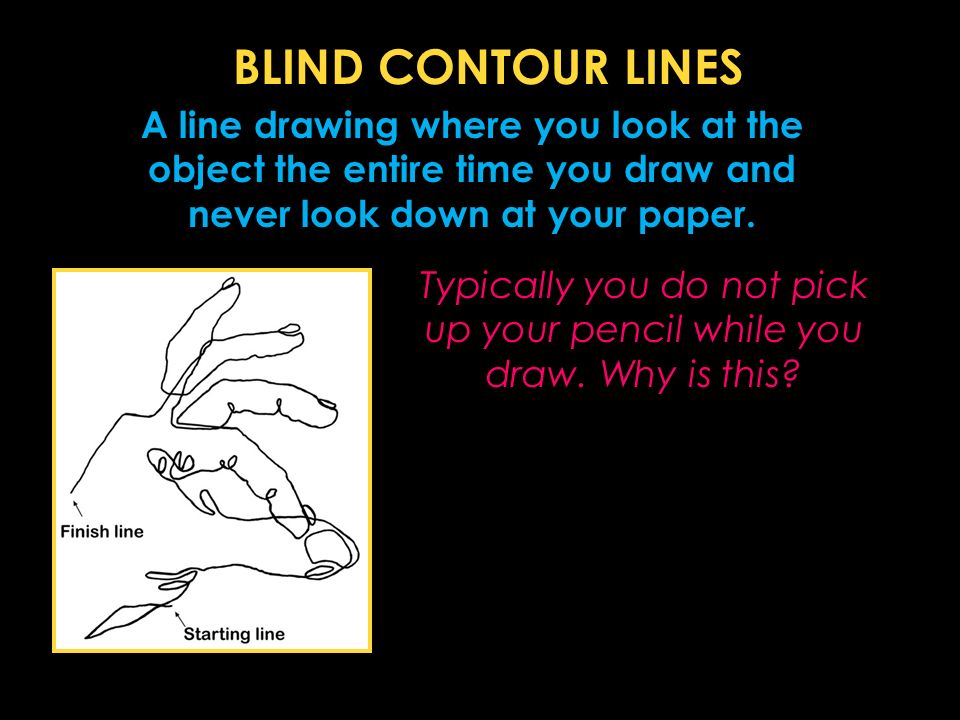 BLIND CONTOUR LINES Typically you do not pick up your pencil while you draw.