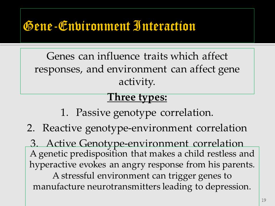 19 Genes can influence traits which affect responses, and environment can affect gene activity.