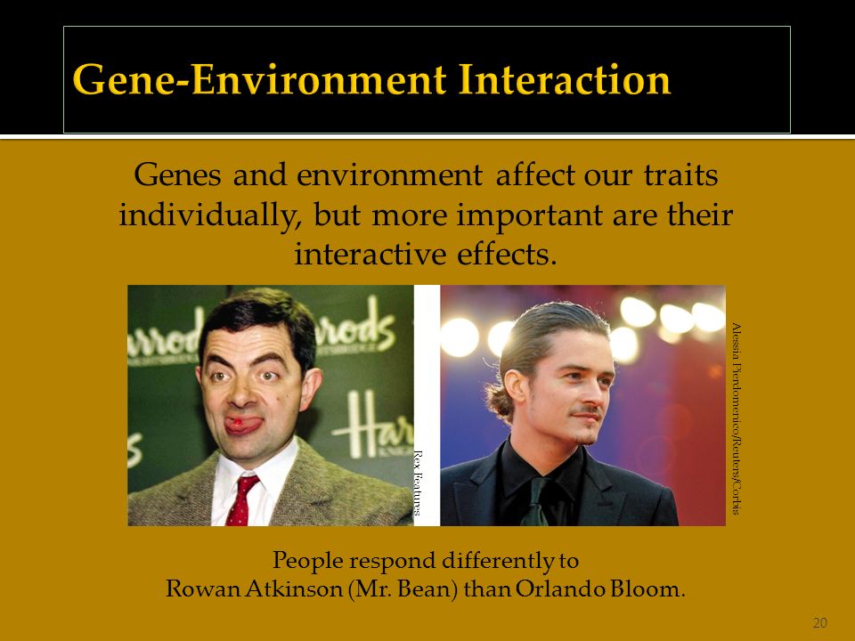 20 Genes and environment affect our traits individually, but more important are their interactive effects.