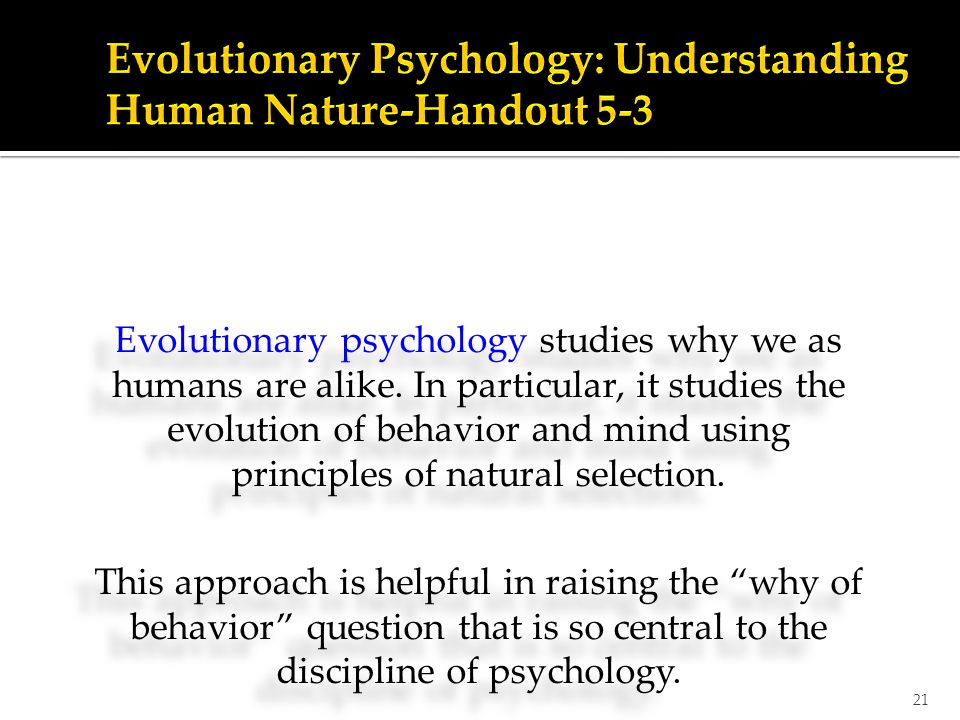 21 Evolutionary psychology studies why we as humans are alike.