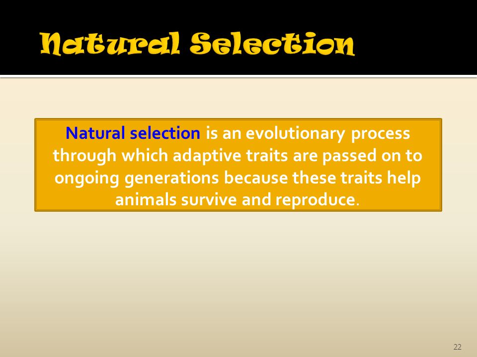 22 Natural selection is an evolutionary process through which adaptive traits are passed on to ongoing generations because these traits help animals survive and reproduce.