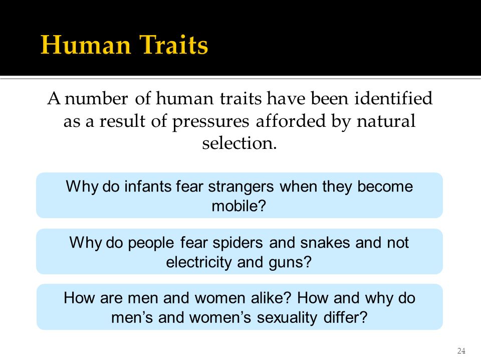 24 A number of human traits have been identified as a result of pressures afforded by natural selection.