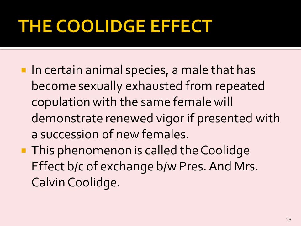  In certain animal species, a male that has become sexually exhausted from repeated copulation with the same female will demonstrate renewed vigor if presented with a succession of new females.