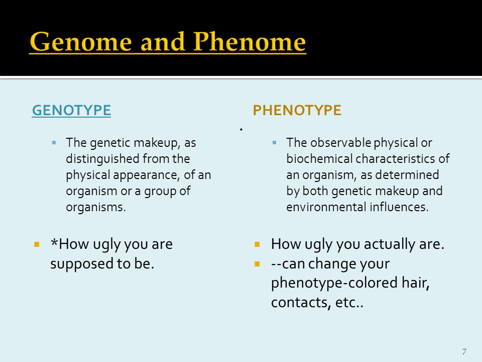GENOTYPE  The genetic makeup, as distinguished from the physical appearance, of an organism or a group of organisms.
