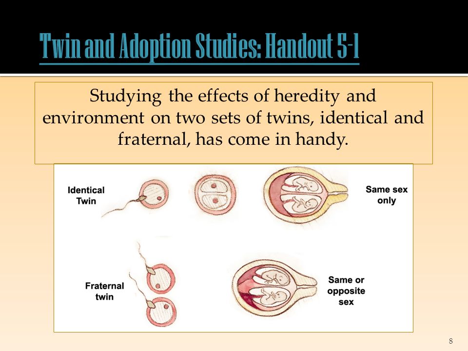 8 Studying the effects of heredity and environment on two sets of twins, identical and fraternal, has come in handy.