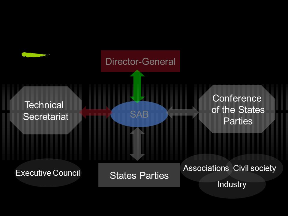 SAB Director-General Conference of the States Parties Technical Secretariat States Parties Civil societyAssociations Industry Executive Council