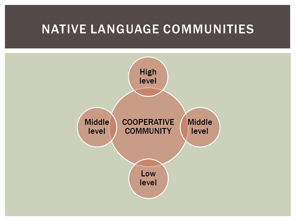 COOPERATIVE COMMUNITY High level Middle level Low level Middle level NATIVE LANGUAGE COMMUNITIES
