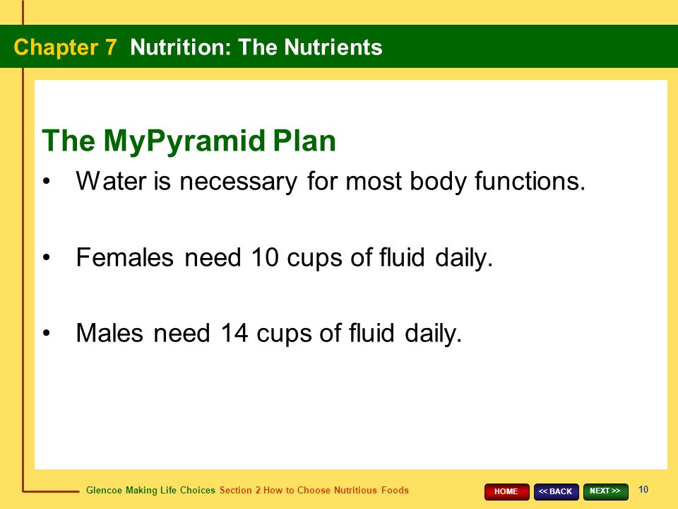 Glencoe Making Life Choices Section 2 How to Choose Nutritious Foods Chapter 7 Nutrition: The Nutrients 10 << BACK NEXT >> HOME Water is necessary for most body functions.