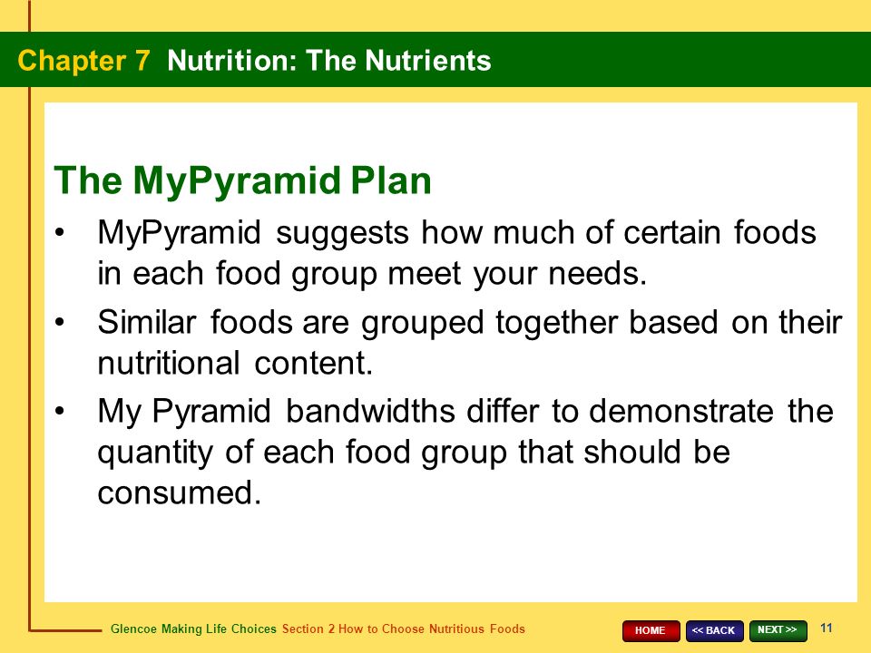 Glencoe Making Life Choices Section 2 How to Choose Nutritious Foods Chapter 7 Nutrition: The Nutrients 11 << BACK NEXT >> HOME MyPyramid suggests how much of certain foods in each food group meet your needs.
