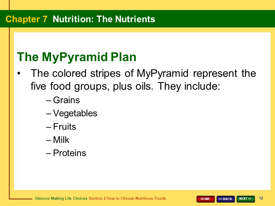 Glencoe Making Life Choices Section 2 How to Choose Nutritious Foods Chapter 7 Nutrition: The Nutrients 12 << BACK NEXT >> HOME The colored stripes of MyPyramid represent the five food groups, plus oils.