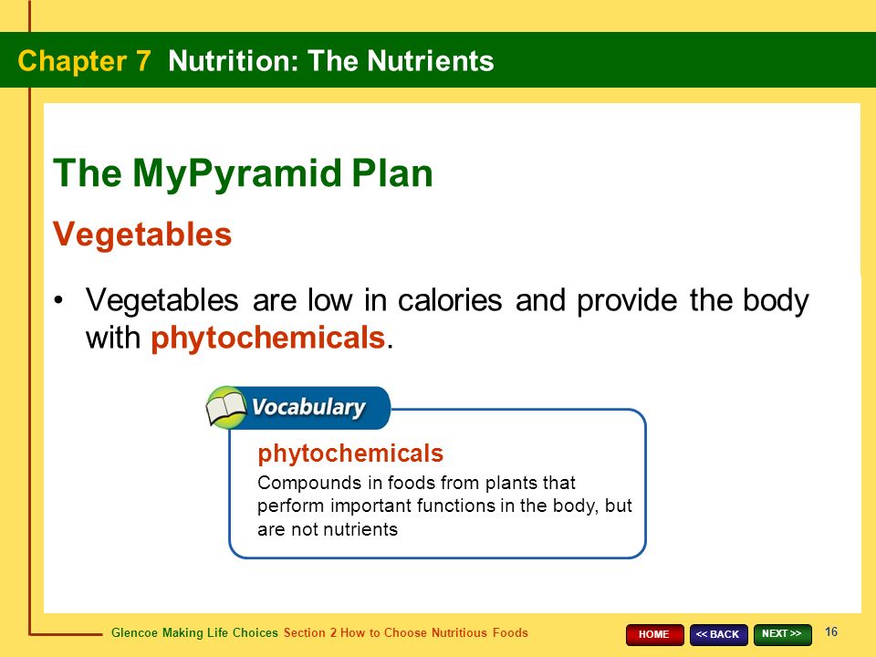 Glencoe Making Life Choices Section 2 How to Choose Nutritious Foods Chapter 7 Nutrition: The Nutrients 16 << BACK NEXT >> HOME Vegetables are low in calories and provide the body with phytochemicals.