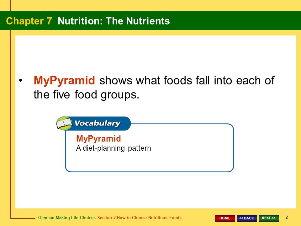 Glencoe Making Life Choices Section 2 How to Choose Nutritious Foods Chapter 7 Nutrition: The Nutrients 2 << BACK NEXT >> HOME MyPyramid shows what foods fall into each of the five food groups.