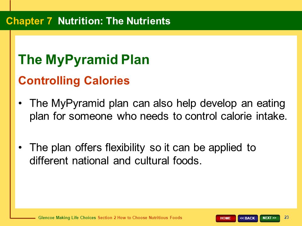 Glencoe Making Life Choices Section 2 How to Choose Nutritious Foods Chapter 7 Nutrition: The Nutrients 23 << BACK NEXT >> HOME The MyPyramid plan can also help develop an eating plan for someone who needs to control calorie intake.