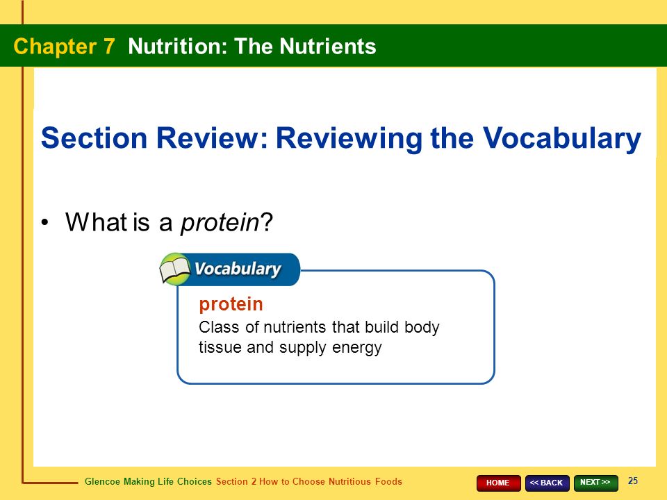 Glencoe Making Life Choices Section 2 How to Choose Nutritious Foods Chapter 7 Nutrition: The Nutrients 25 << BACK NEXT >> HOME What is a protein.