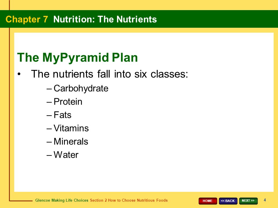 Glencoe Making Life Choices Section 2 How to Choose Nutritious Foods Chapter 7 Nutrition: The Nutrients 4 << BACK NEXT >> HOME The nutrients fall into six classes: –Carbohydrate –Protein –Fats –Vitamins –Minerals –Water The MyPyramid Plan