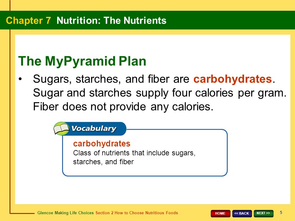 Glencoe Making Life Choices Section 2 How to Choose Nutritious Foods Chapter 7 Nutrition: The Nutrients 5 << BACK NEXT >> HOME Sugars, starches, and fiber are carbohydrates.