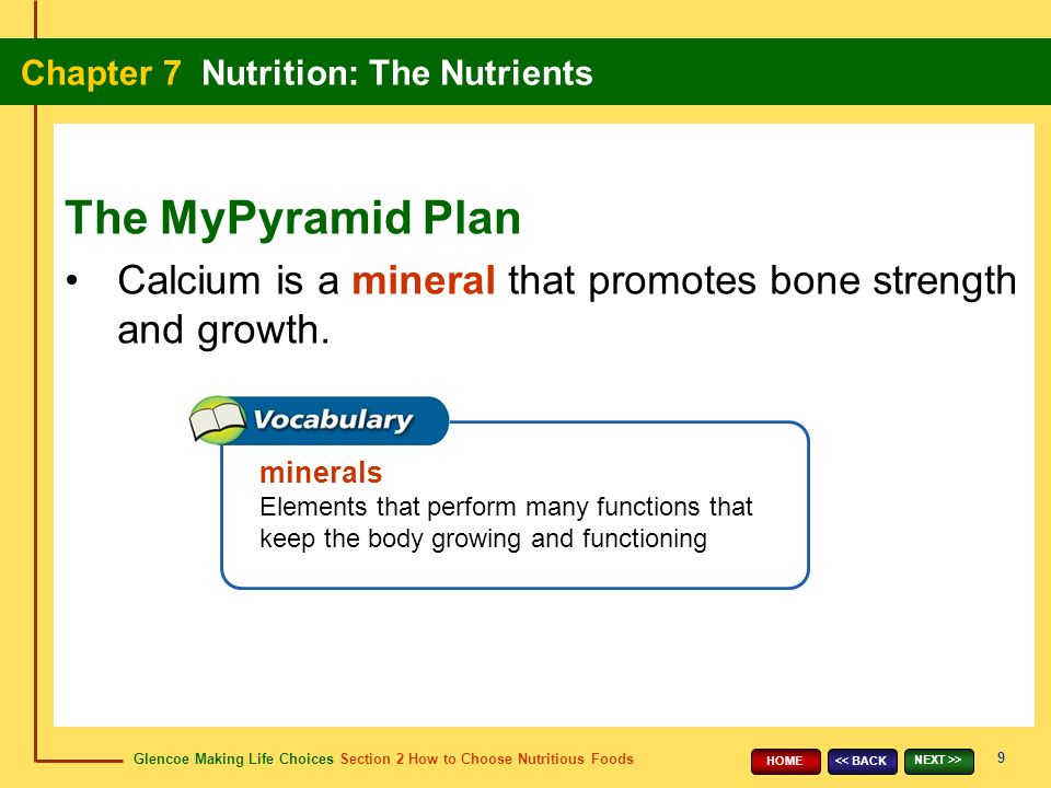 Glencoe Making Life Choices Section 2 How to Choose Nutritious Foods Chapter 7 Nutrition: The Nutrients 9 << BACK NEXT >> HOME Calcium is a mineral that promotes bone strength and growth.