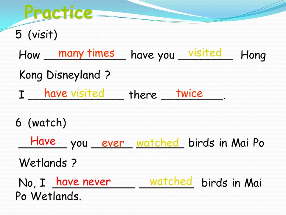 6 (watch) _______ you ______ _______ birds in Mai Po Wetlands .