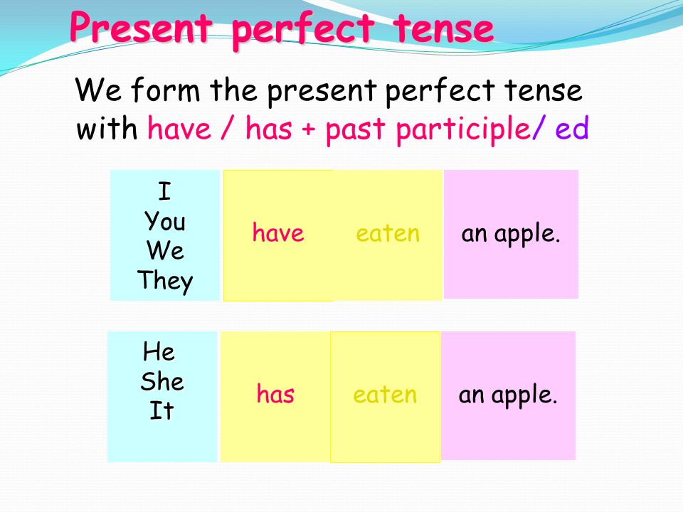 We form the present perfect tense with have / has + past participle/ ed Present perfect tense I You We They have eatenan apple.