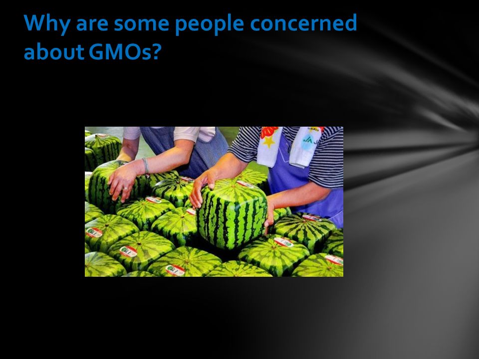 Why are some people concerned about GMOs