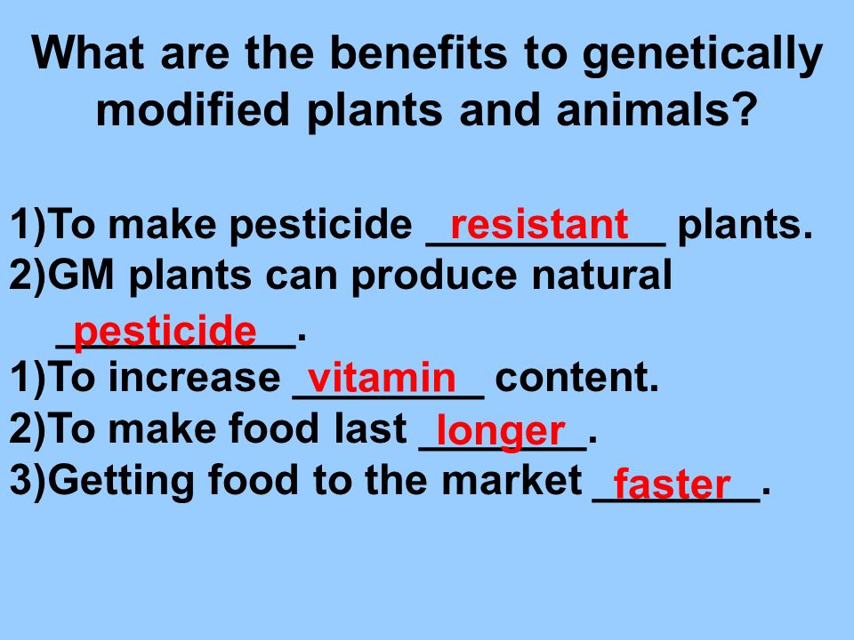 What are the benefits to genetically modified plants and animals.