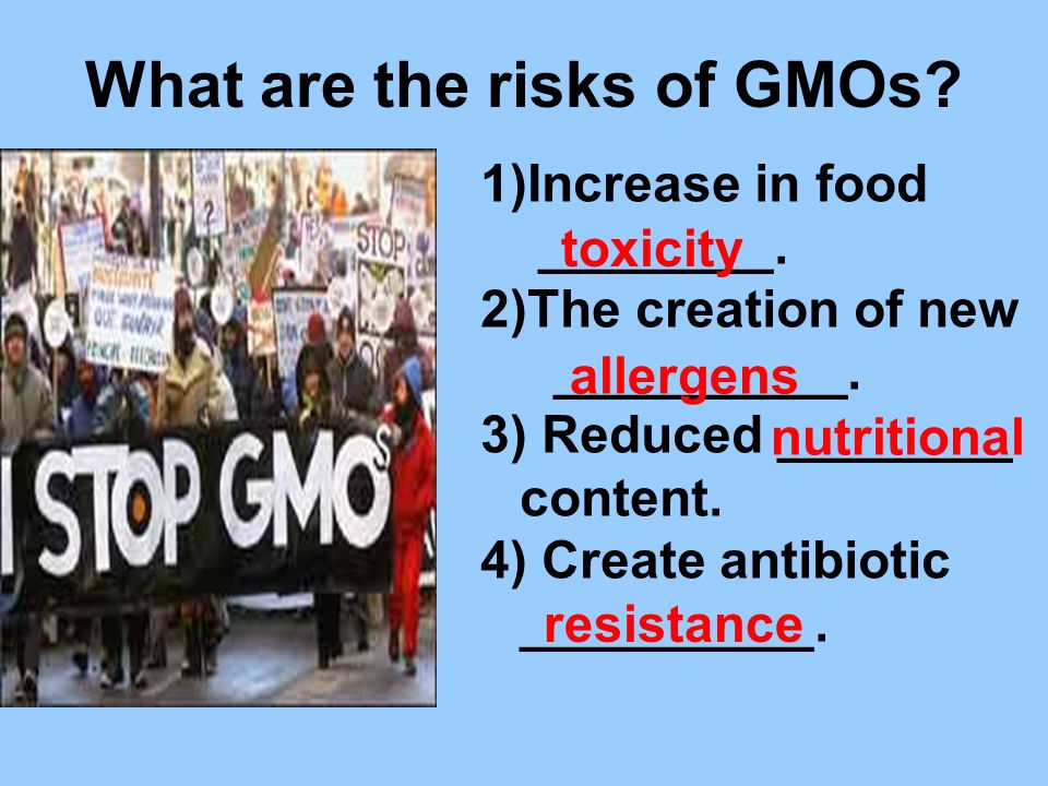 What are the risks of GMOs. 1)Increase in food ________.