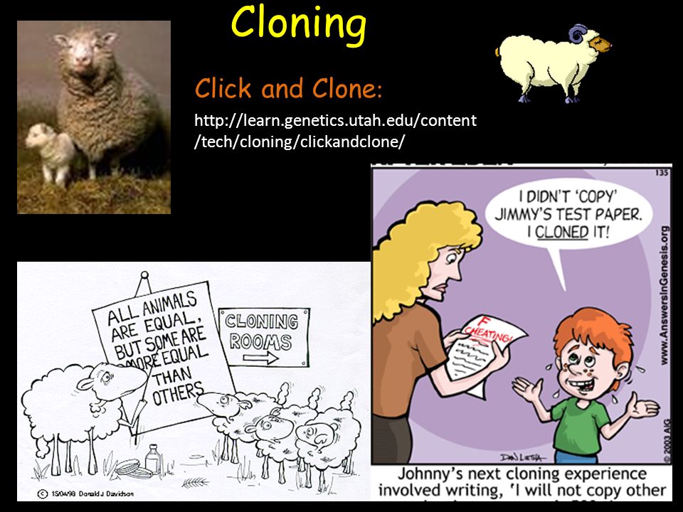 Cloning Click and Clone :   /tech/cloning/clickandclone/