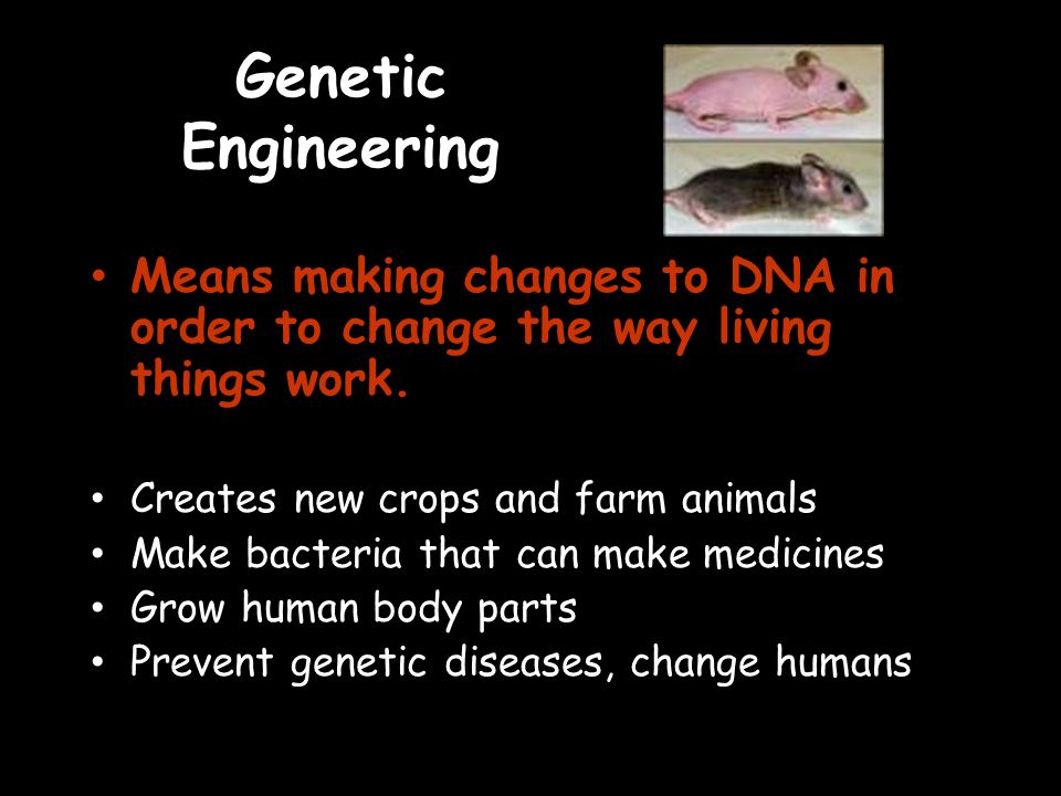 Genetic Engineering Means making changes to DNA in order to change the way living things work.