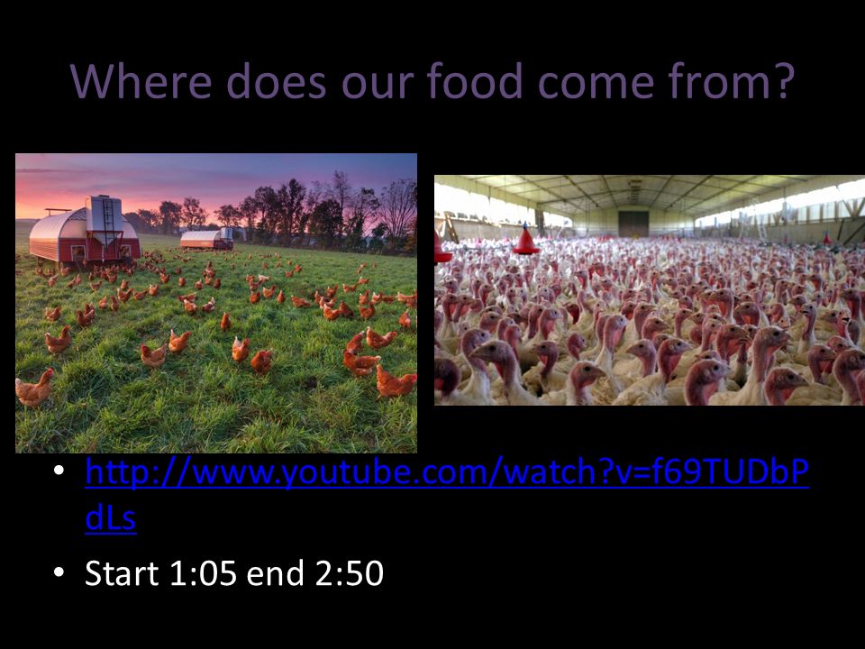 Where does our food come from.