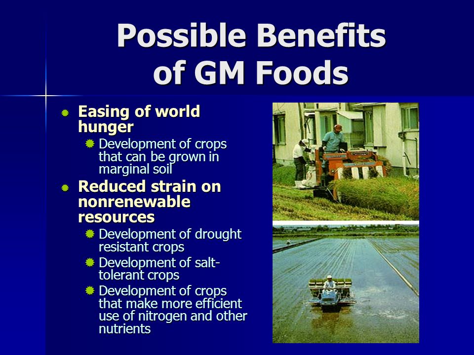 Possible Benefits of GM Foods  Easing of world hunger  Development of crops that can be grown in marginal soil  Reduced strain on nonrenewable resources  Development of drought resistant crops  Development of salt- tolerant crops  Development of crops that make more efficient use of nitrogen and other nutrients
