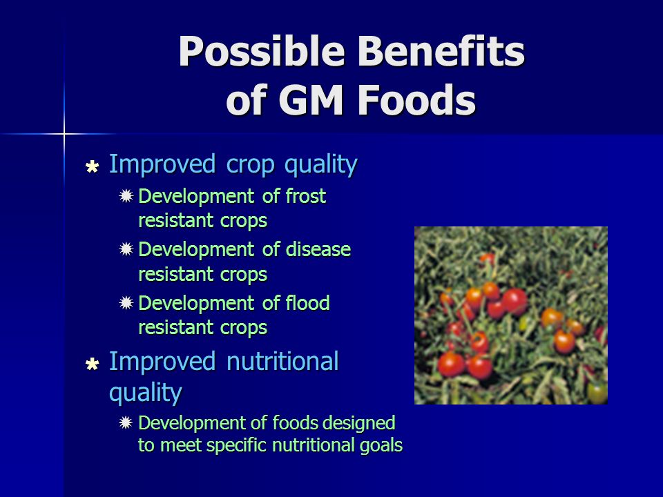 Possible Benefits of GM Foods  Improved crop quality  Development of frost resistant crops  Development of disease resistant crops  Development of flood resistant crops  Improved nutritional quality  Development of foods designed to meet specific nutritional goals