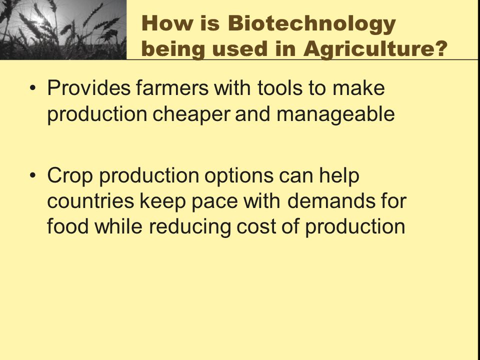 How is Biotechnology being used in Agriculture.