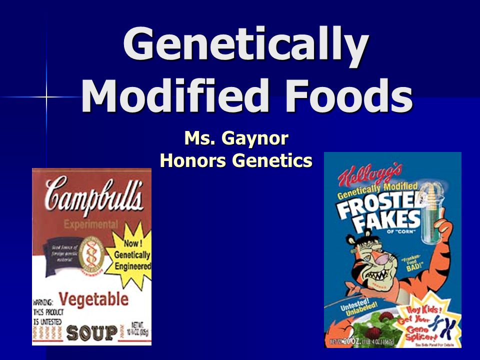 Genetically Modified Foods Ms. Gaynor Honors Genetics
