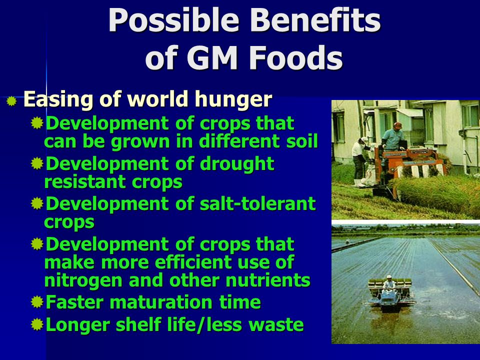 Possible Benefits of GM Foods  Easing of world hunger  Development of crops that can be grown in different soil  Development of drought resistant crops  Development of salt-tolerant crops  Development of crops that make more efficient use of nitrogen and other nutrients  Faster maturation time  Longer shelf life/less waste