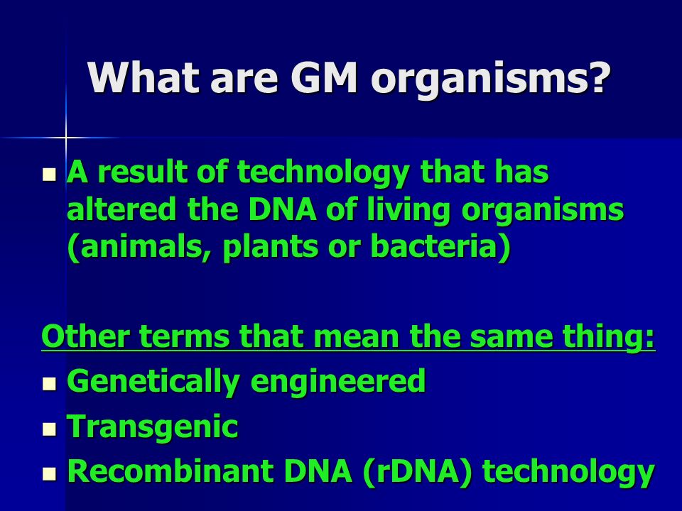 What are GM organisms.