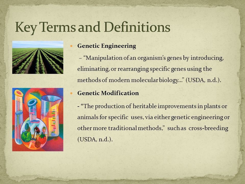 Genetic Engineering – Manipulation of an organism’s genes by introducing, eliminating, or rearranging specific genes using the methods of modern molecular biology… (USDA, n.d.).
