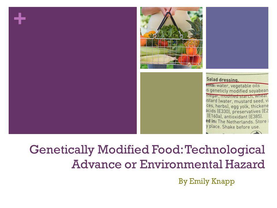 + Genetically Modified Food: Technological Advance or Environmental Hazard By Emily Knapp
