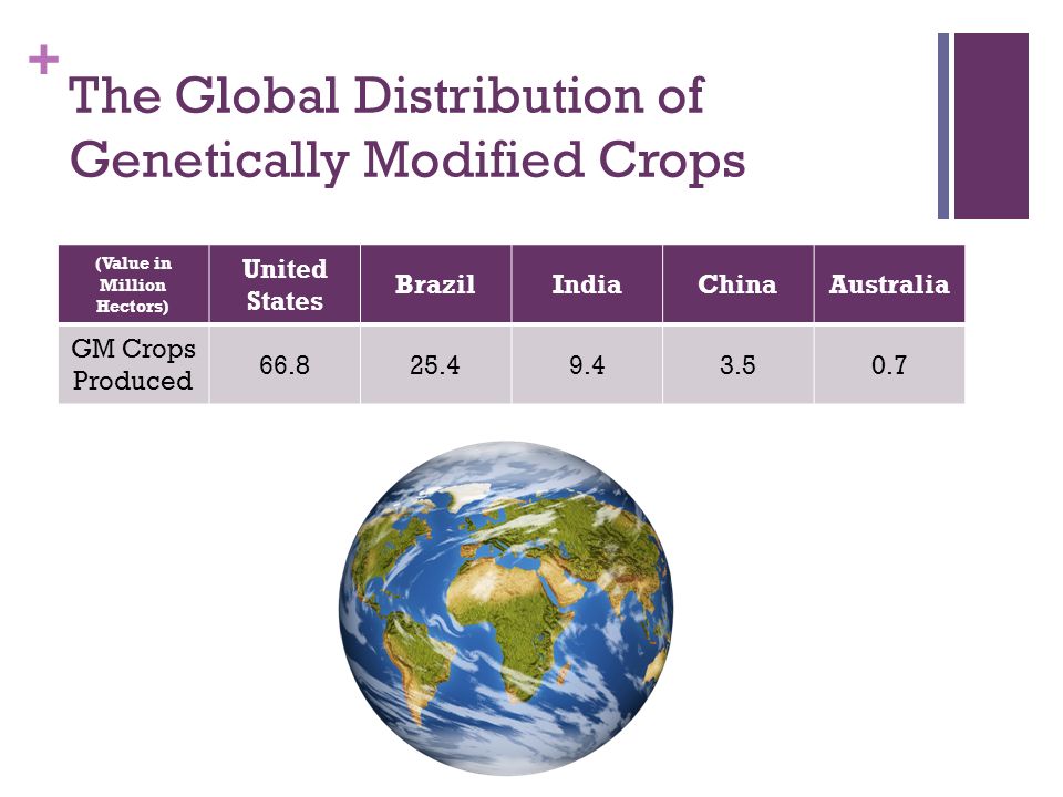 + The Global Distribution of Genetically Modified Crops (Value in Million Hectors) United States BrazilIndiaChinaAustralia GM Crops Produced